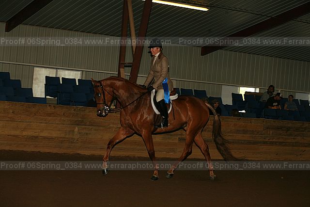 Proof 06spring_0384