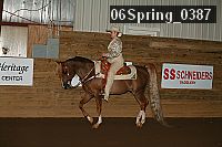 06spring_0387 proof