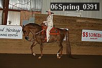 06spring_0391 proof