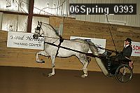 06spring_0393 proof