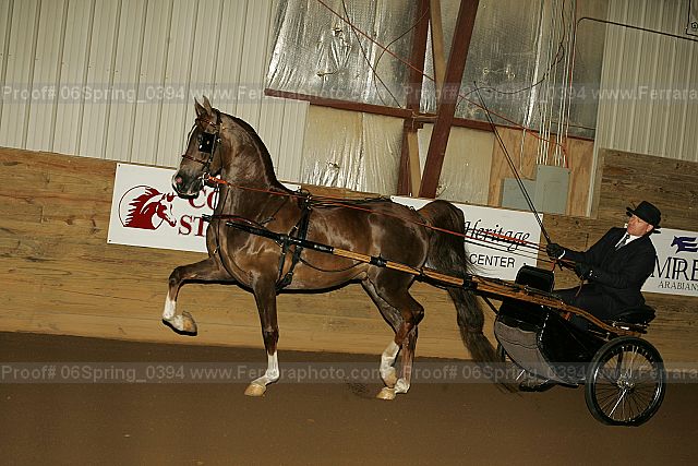 Proof 06spring_0394