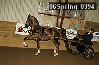 06spring_0394 proof