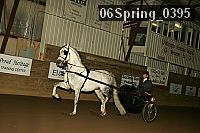 06spring_0395 proof