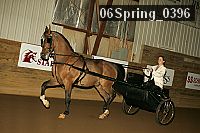 06spring_0396 proof