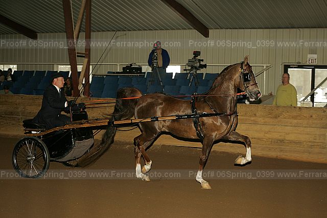 Proof 06spring_0399