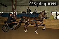 06spring_0399 proof