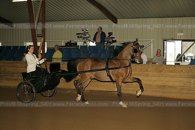 Proof 06spring_0401