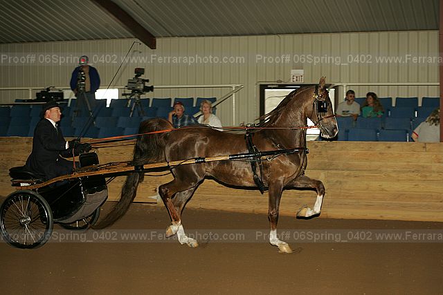 Proof 06spring_0402