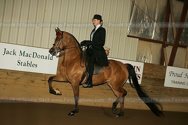 Proof 06spring_0419