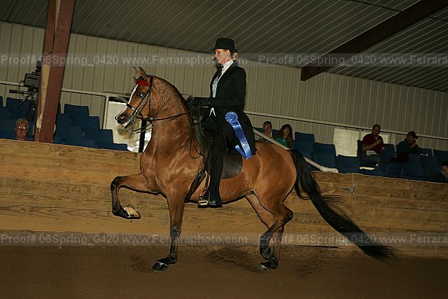 Proof 06spring_0420