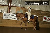 06spring_0425 proof