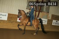06spring_0434 proof