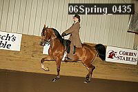 06spring_0435 proof