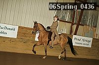 06spring_0436 proof
