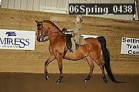 06spring_0438 proof