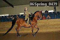 06spring_0439 proof