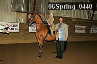06spring_0440 proof