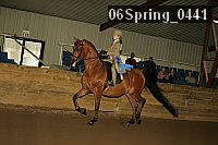 06spring_0441 proof