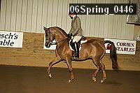 06spring_0446 proof