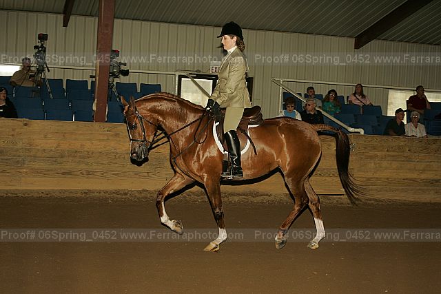 Proof 06spring_0452