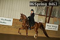 06spring_0463 proof