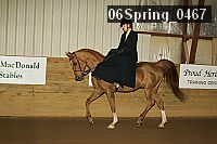 06spring_0467 proof