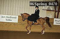 06spring_0470 proof