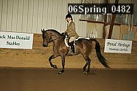 06spring_0482 proof