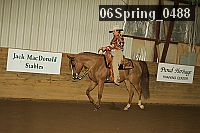 06spring_0488 proof