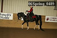 06spring_0489 proof