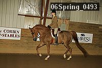 06spring_0493 proof