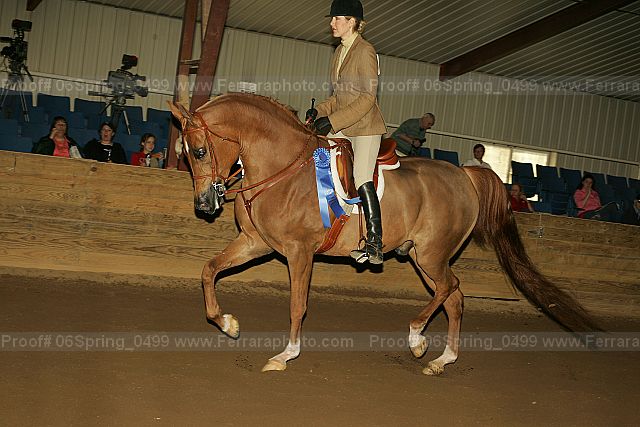 Proof 06spring_0499