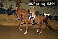 06spring_0499 proof