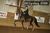 06spring_0500 proof