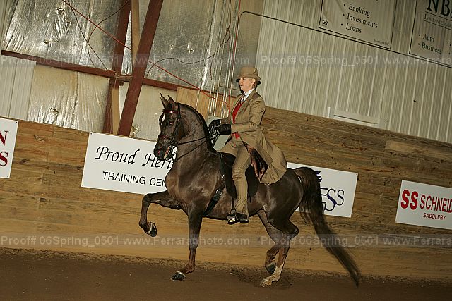 Proof 06spring_0501
