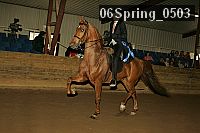 06spring_0503 proof