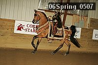 06spring_0507 proof