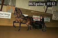 Proof 06spring_0512
