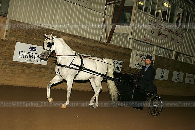 Proof 06spring_0513