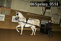 06spring_0514 proof
