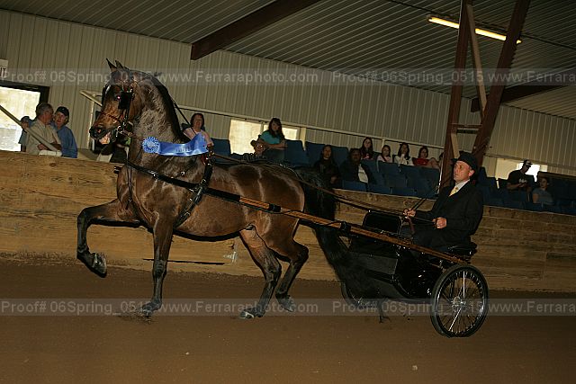 Proof 06spring_0515