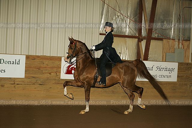 Proof 06spring_0516