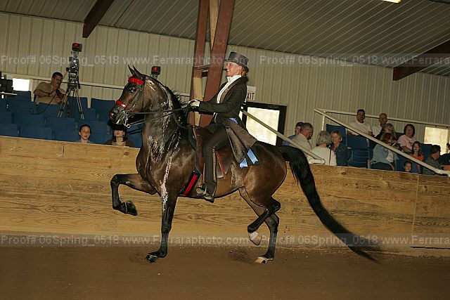 Proof 06spring_0518