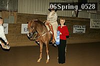 06spring_0528 proof