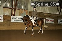 06spring_0530 proof