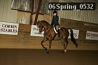 06spring_0532 proof