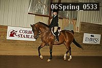 06spring_0533 proof