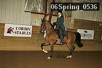 06spring_0536 proof