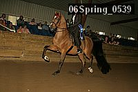 Proof 06spring_0539