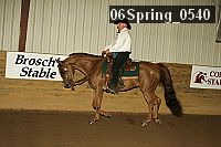 06spring_0540 proof